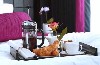 Hampton Hotel