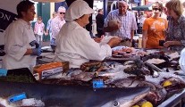 Midleton Food & Drink Festival