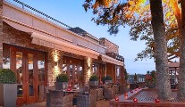 Elm Tree, The