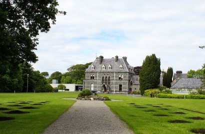 Brambles @ National Museum of Ireland - Country Life