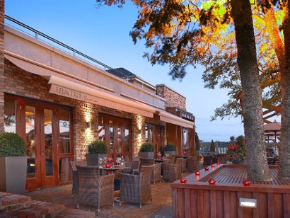 Elm Tree, The