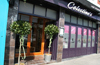 Celestines Brasserie & Wine Bar