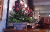 Fínín's Restaurant & Bar