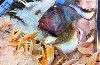A. Caviston Seafood Restaurant & Cafe
