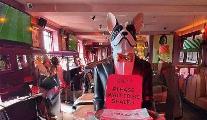 Restaurant Review - Dak & Dolly's