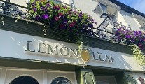 Lemon Leaf Cafe