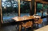 Lignum